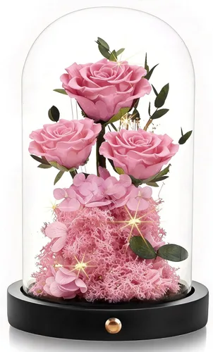 DENIMOMO Rosas para el día de la madre, rosas preservadas para el Día de la Madre, rosas reales para el Día de la Madre, regalos para esposa, mujer,