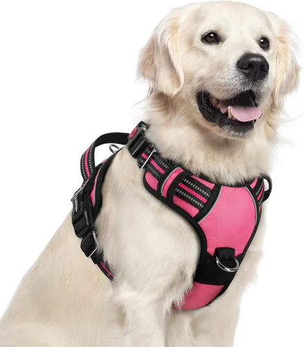 Miniatura 22 de rabbitgoo Arnés para perro de tamaño pequeño, chaleco para perro sin tirones con 3 hebillas, arnés ajustable y acolchado suave para mascotas con asa