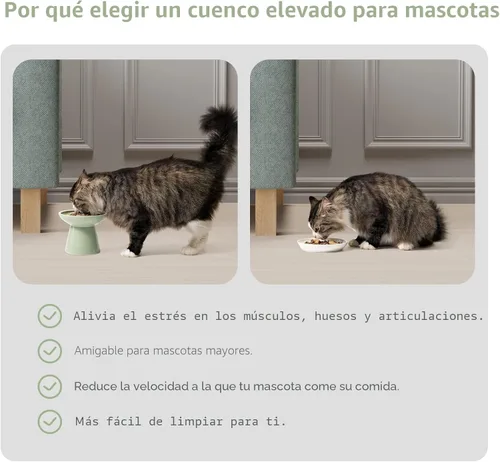 Miniatura 6 de CEEFU 2 cuencos elevados de cerámica para gatos extra anchos para alimentos y agua, plato de comida poco profunda, sin plomo ni cadmio, altura Verde