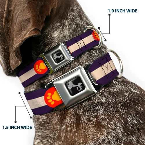 Miniatura 2 de Buckle-Down - Collar de perro con diseño de bandera de Colorado (13.0 – 18.0 in)