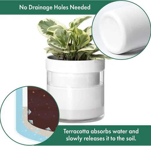 Miniatura 4 de Maceta Phoenix Vine de 6 Pulgadas 4 Pulgadas de Auto-Riego, Macetas de Arcilla de Terracota Blanca con Depósito de Vidrio para Plantas