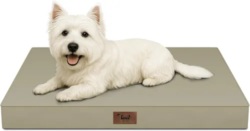 Miniatura 58 de Cama ortopédica de felpa para perros y cachorros medianos, camas impermeables para perros de 30 x 20 pulgadas con funda extraíble lavable, tapete