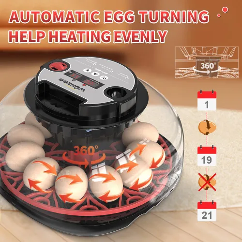 Miniatura 4 de incubadoras para incubar huevos,12 Incubadora de huevos,Incubadora de huevos con giro automático de huevos y control de humedad,Incubadora