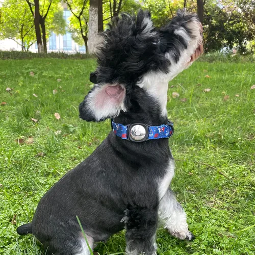 Miniatura 5 de Collar de perro para el 4 de julio, soporte para Airtag de Apple, collares de perro rojos, blancos y azules para perros pequeños, medianos y grandes