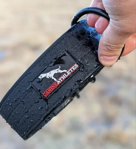 Miniatura 5 de Canine Athletes Collar para perro de trabajo resistente al agua AP-Sport de 2 pulgadas con mango de control de agitación (extra grande)