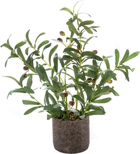 Miniatura 11 de AlphaAcc Plantas Falsas de Aspecto Real Vegetación Plantas Artificiales de Interior Planta en Maceta con Macetero Rústico de Arcilla Negra para Casa