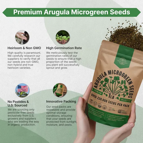 Miniatura 6 de Organo Republic Semillas de Rúcula para Germinación y Microgreens - Kit de Semillas de Brotes Sin OGM, Reliquia, Bolsa Resellable de 1 libra