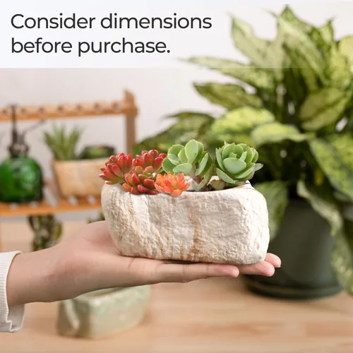 Miniatura 4 de T4U Maceta de cerámica para suculentas de 5.5 pulgadas con orificio de drenaje, juego de 3, caja rectangular con forma de piedra, contenedores