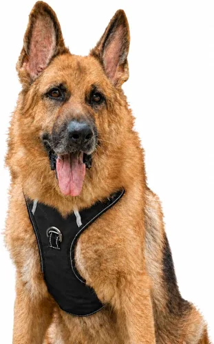 Miniatura 18 de Arnés antitirones para perro pequeño con 2 hebillas de liberación rápida y mango de fácil control, chaleco suave reflectante sin estrangulamiento