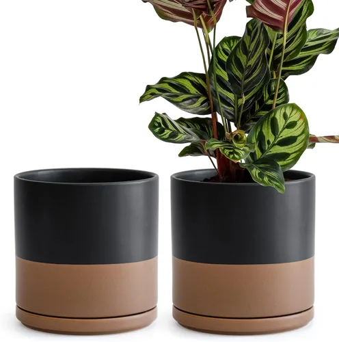 Miniatura 45 de D'vine Dev - Juego de 2 macetas de plantas de 3.5 pulgadas, maceta de cerámica para plantas con agujero de drenaje y platillo, negra, 94-V-A-2