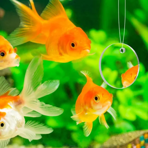 Miniatura 2 de POPETPOP Espejo de entrenamiento de peces Betta de 1.96 pulgadas, espejo de acuario acrílico flotante para juguete de ejercicio Betta adecuado