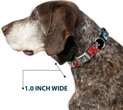 Miniatura 6 de buckle-down 9 – 15" Marvel Avengers perro collar poses/Martillo De Thor