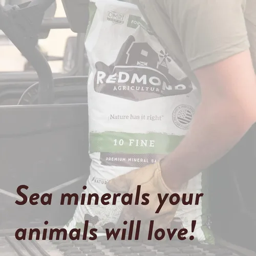 Miniatura 4 de REDMOND 10 sales minerales naturales finas para ganado, con certificación OMRI, bolsa de 5 libras