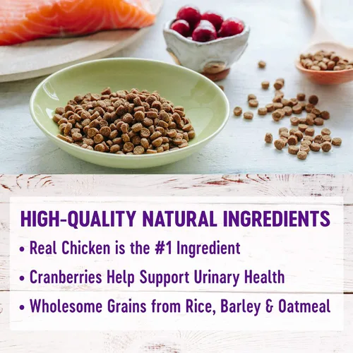 Miniatura 3 de Wellness Complete Health - Alimento seco natural para gatos, receta de harina de pollo y pollo, paquete de bolsa de 5 libras, golosinas naturales