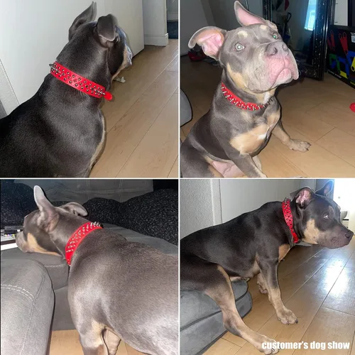 Miniatura 3 de TEEMERRYCA - Collares para perro ajustables de piel de microfibra con tachuelas y una pelota chillona de regalo, para mascotas pequeñas, medianas