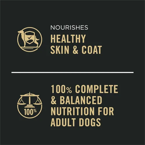 Miniatura 5 de Purina Pro Plan Alimento en paté húmedo para perros, con alto contenido de proteínas, plato principal de carne de res y arroz (12 latas) 13 onzas