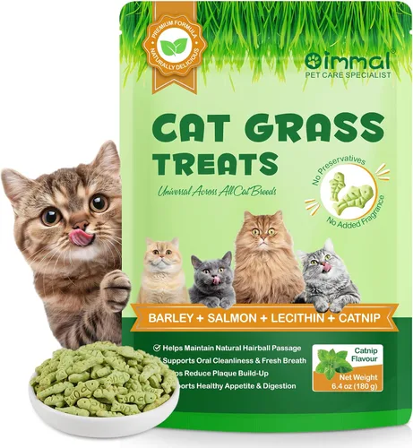 Golosinas de hierba para gatos, golosinas para control de bolas de pelo en interiores, delicioso palo de dentición de hierba para quitar bolas de