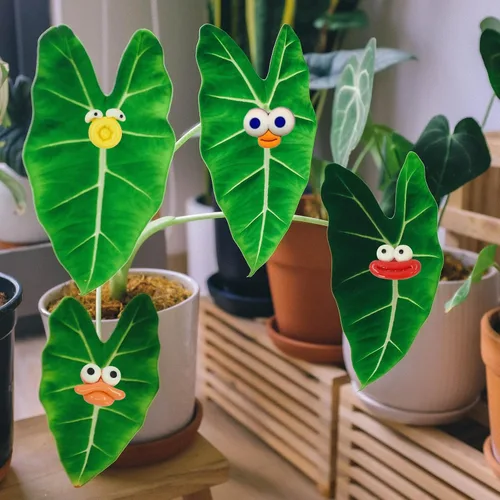 Miniatura 2 de Imanes de plantas, Googly Eyes imanes de plantas para plantas en maceta, dijes de plantas para regalos de plantas, juego de 7