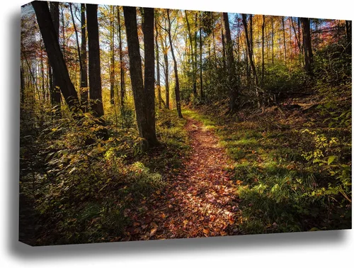 Nature Canvas Wall Art (Ready to Hang) Gallery Wrap of Leaf Covered Trail Leading Into Forest on Autumn Day in Great Smoky Mountains Tennessee
