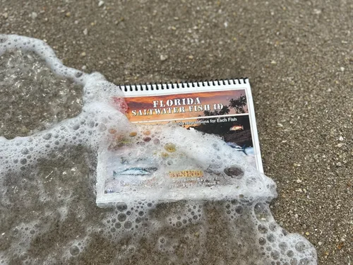 Miniatura 5 de Libro de Identificación de Peces de Agua Salada de Florida con Reglas, Regulaciones, Límites y Tamaños de FWC, Incluye Más de 90 Fotografías Marinas