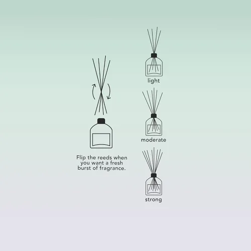Miniatura 6 de Difusor de varillas de lujo para el hogar y el baño – Ash & Iron Fresh Horizon, Crisp Alpine Air & Cactus Blossom, 4.2 fl oz, 3-5 meses de duración
