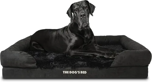 Miniatura 16 de The Dog's Bed - Cama ortopédica de espuma viscoelástica para perros medianos, colchón de soporte de alta densidad, entrada frontal baja, funda negro