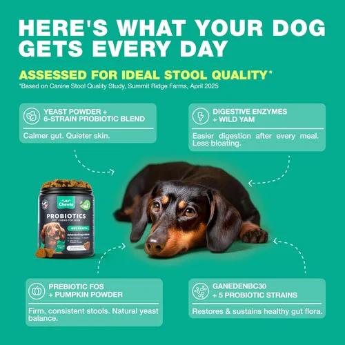 Miniatura 4 de Probióticos para la salud intestinal de los perros, digestión, inmunidad, equilibrio de levadura, piel con picazón, apoyo para alergias