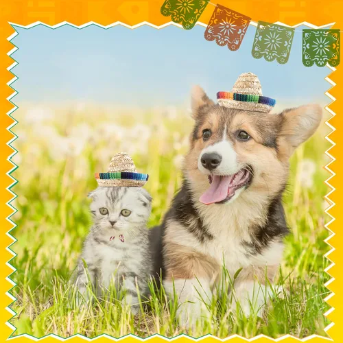 Miniatura 3 de Haysandy 18 piezas de mini sombrero, sombrero de paja para fiesta, sombrero mexicano, decoraciones de fiesta de carnaval para mascotas, niños
