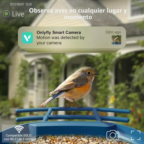 Miniatura 2 de Alimentador para pájaros con cámara con energía solar: Alimentador inteligente para pájaros con cámara de 2K de alimentación en vivo para el patio