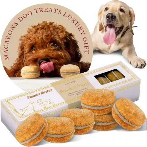 Bonne et Filou Golosinas para perros, pasteles de mantequilla de maní, regalo de cumpleaños para perros de raza mediana a grande – Pasteles de