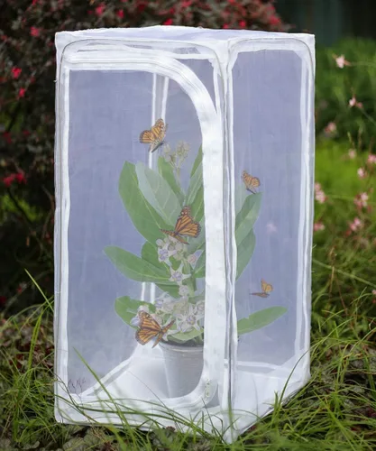 Hábitat de mariposa monarca resistente de 30 pulgadas, jaula plegable para exteriores, terrario con protección de cremallera