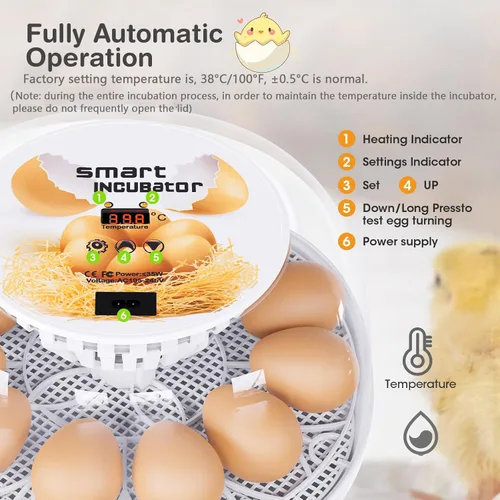 Miniatura 2 de Incubadoras para incubar huevos, incubadora de 12 huevos con giro automático y control de temperatura, adición automática de agua, candelero LED
