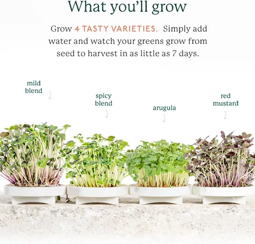 Miniatura 4 de Kit completo de cultivo de microgreens GARDYN - Jardín de hierbas para interiores - Kit de sistema de cultivo hidropónico para interiores, bandeja