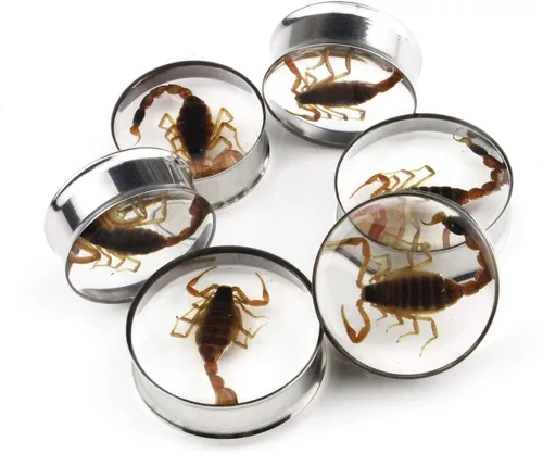 Miniatura 5 de Tapones para oreja, incrustaciones de escorpión auténtico, de acero inoxidable, túneles de doble llamarada, dilatadores para estirar, piercing