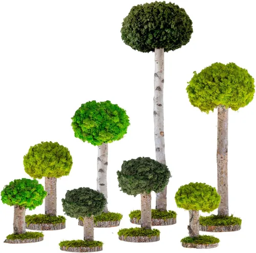 Miniatura 5 de Plantas reales sin riego, diseño artístico de musgo preservado y decoración, arreglo de plantas verdes naturales para interiores para el hogar