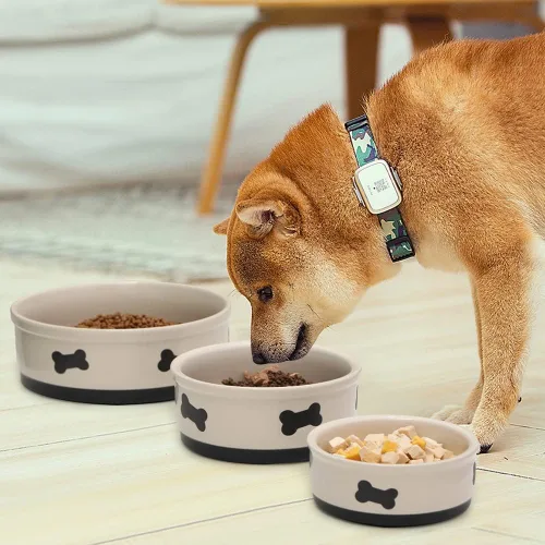Miniatura 3 de Sweejar Cuencos de cerámica para perros con patrón de huesos, plato de comida para perros pequeños, cuenco de porcelana para agua de 16 onzas Beige