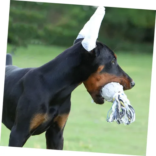 Miniatura 3 de 1 juego de orejas de búfalo para perros, gotas para orejas de perro, adhesivo para orejas de perro, toallitas limpiadoras de orejas para cachorros