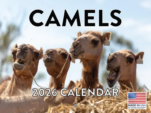 Miniatura 138 de Calendario alpaca 2026, calendario mensual de pared de 12 meses Hecho en Estados Unidos.