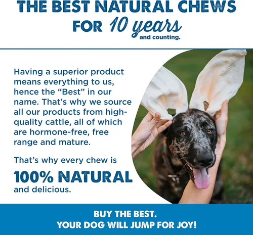 Miniatura 7 de Best Bully Sticks Orejas de vaca de corte grueso para perros, 12 unidades (paquete de 1), naturales, alimentadas con pasto, de corral libre, un solo