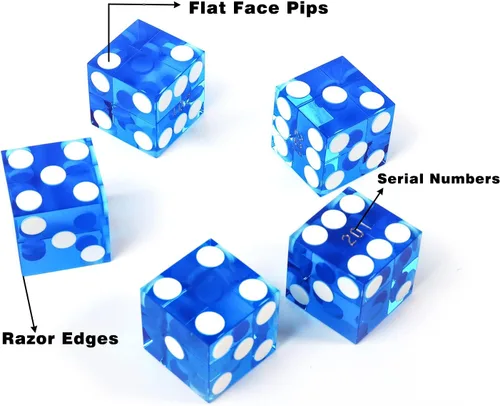 Miniatura 3 de GSE Games & Sports Expert Juego de mesa de dados de casino. Incluye un fieltro de diseño de dados, 5 dados de casino y un botón de encendido/apagado