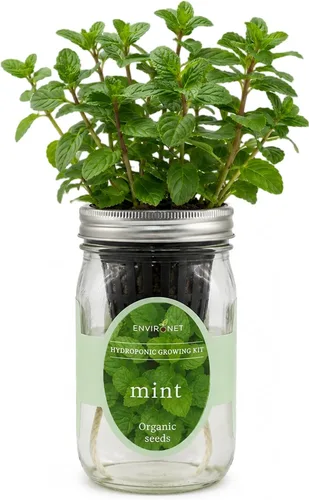 Miniatura 14 de Kit de Cultivo Hidropónico, Kit de Inicio de Jardín de Hierbas en Frasco Mason con Autoriego para Interiores, Jardín de Hierbas para Alféizar