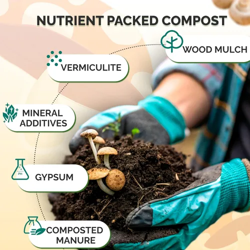 Miniatura 3 de MycoHaus Compost para cultivo de hongos Sustrato esterilizado para hongos Suelo orgánico de hongos Suministros de cultivo para el hogar 10