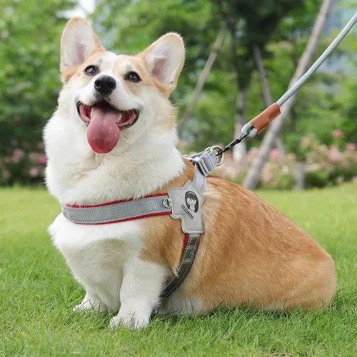 Miniatura 3 de Arnés para perro, chaleco de servicio antitirones con tiras reflectantes y asa de control, ajustable y cómodo para caminar fácilmente, rojo