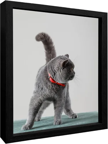 Miniatura 12 de Impresiones en lienzo personalizadas con tus fotos para mascotas, impresiones de fotos familiares, lienzo personalizado, aleación de aluminio, arte