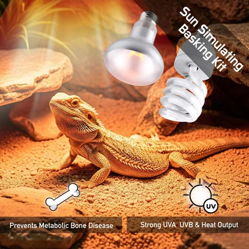 Miniatura 3 de Combo de bombilla de punto de sol de reptil de 100 W y bombilla UVA UVB de 10.0 24 W – Paquete doble de bombillas de lámpara de calor para reptiles