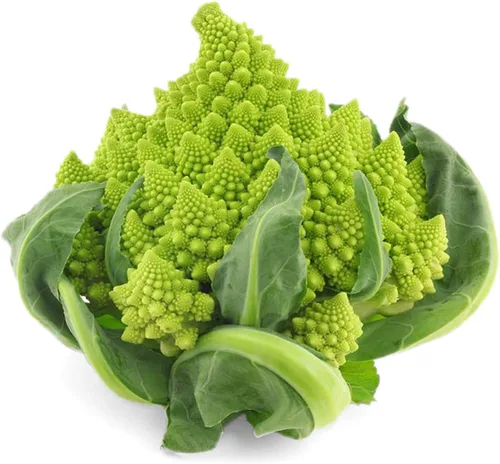Miniatura 4 de UtopiaSeeds Romanesco Seeds - Semillas Romanesco de Brócoli - Semillas de coliflor Romanesco