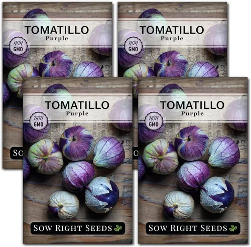 Miniatura 9 de Sow Right Seeds - Semillas de tomatillo morado para plantar - Paquete de reliquia sin OMG con instrucciones para plantar un huerto en el hogar al