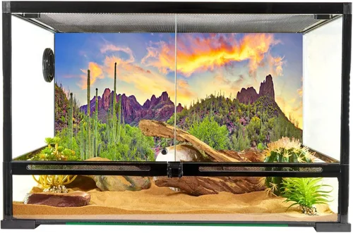 YongFoto Fondo de fotos de poliéster con vista del desierto de cactus, arbusto verde, rocoso, morado, roca salvaje oeste, paisaje natural, fondo de