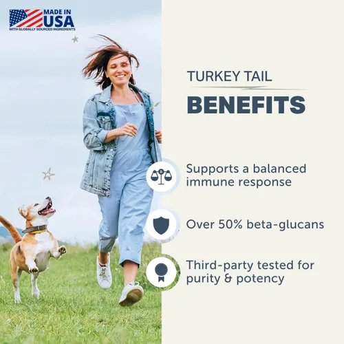 Miniatura 3 de Hongo de cola de pavo para perros, extracto de hongo orgánico entero, más del 50% de beta-glucano, probado por terceros, fabricado en los Estados