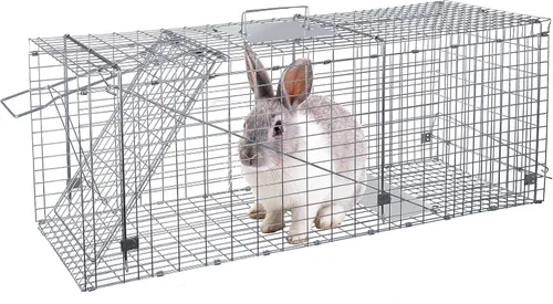 Miniatura 3 de ANT MARCH Trampa de jaula para animales vivos con guantes de 37 x 13.5 x 14.5 pulgadas, jaula grande de acero para roedores para conejos, gatos